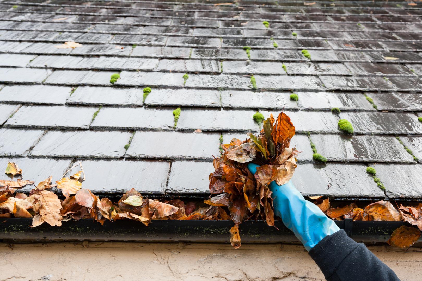 Gutter Cleaning Pincourt